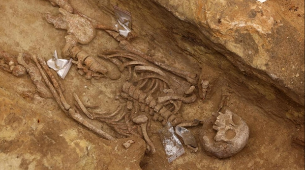Một trong những bộ xương cổ đại được khai quật