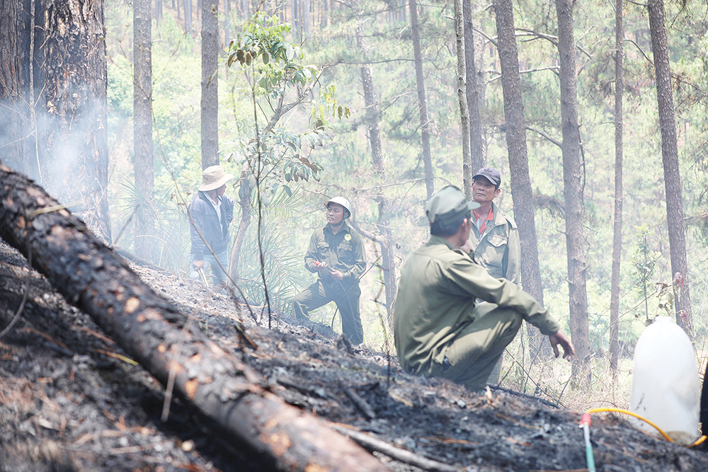 Phút nghỉ ngơi của lực lượng chữa cháy rừng