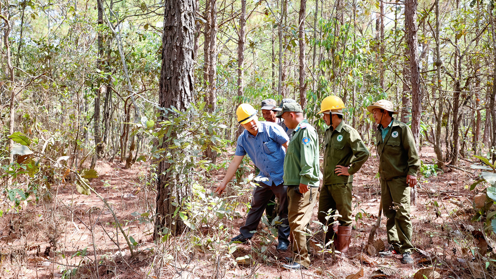 Gắn công tác quản lý, bảo vệ rừng với lợi ích của người dân