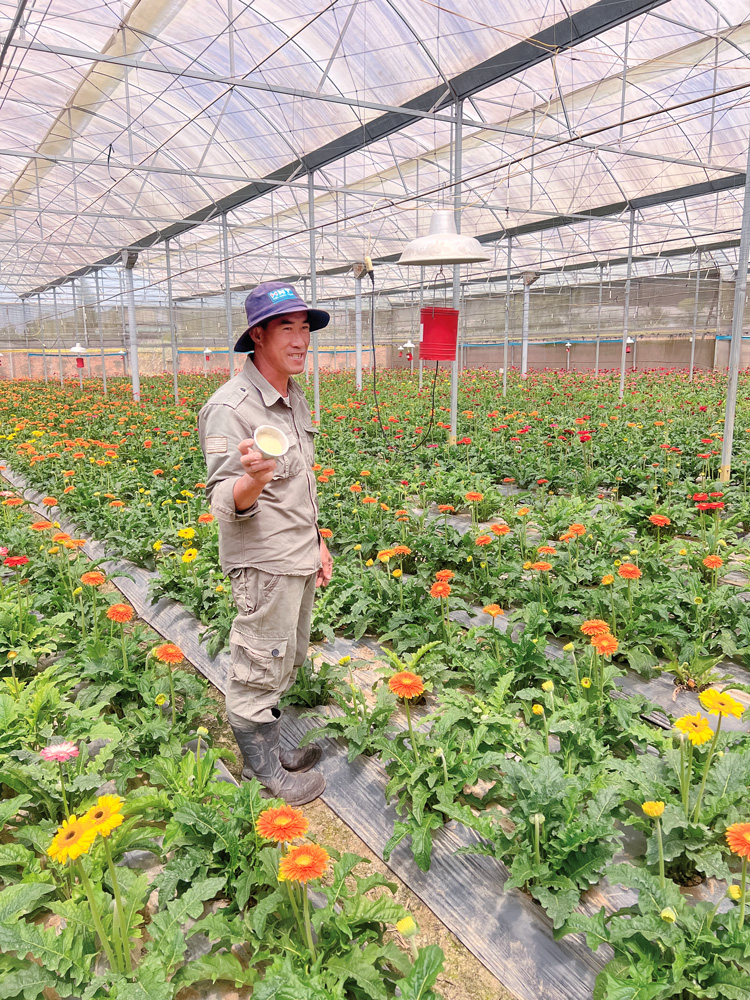 Mô hình tiết kiệm điện được gia đình anh Nguyễn Phong Phú, huyện Đơn Dương ứng dụng trong nông nghiệp