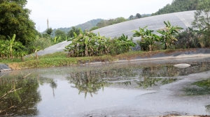 UBND tỉnh Lâm Đồng chỉ đạo xử lý trại heo gây ô nhiễm môi trường, thất hứa với người dân