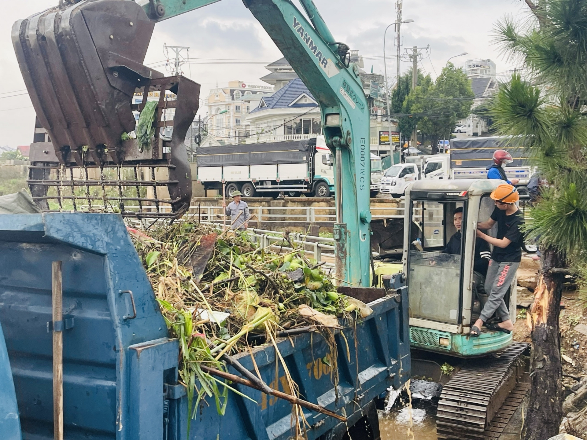Đà Lạt: Nhanh chóng thu gom, xử lý rác thải sau mưa