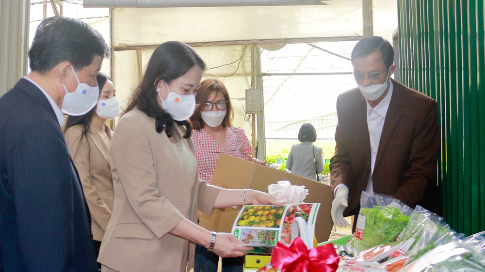 Phó Chủ tịch nước Võ Thị Ánh Xuân cùng lãnh đạo tỉnh thăm trang trại sản xuất nông nghiệp công nghệ cao trên địa bàn huyện Lạc Dương