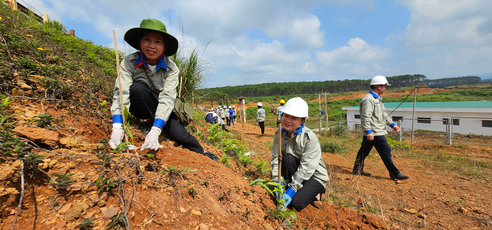 Đại diện các phòng, phân xưởng và công nhân viên tham gia trồng cây xanh