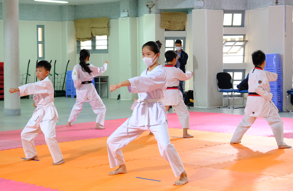 252 võ sinh tham dự kỳ thi nâng cấp đai môn võ Taekwondo
