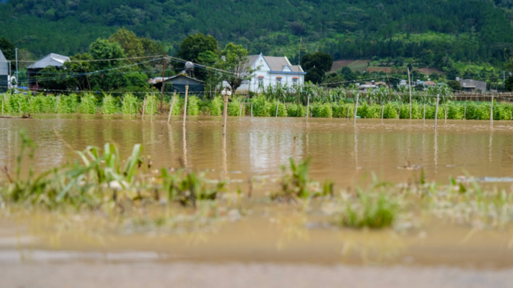 Lâm Đồng mưa lớn giải nhiệt nhiều nơi nhưng cần đề phòng lũ quét, sạt lở đất