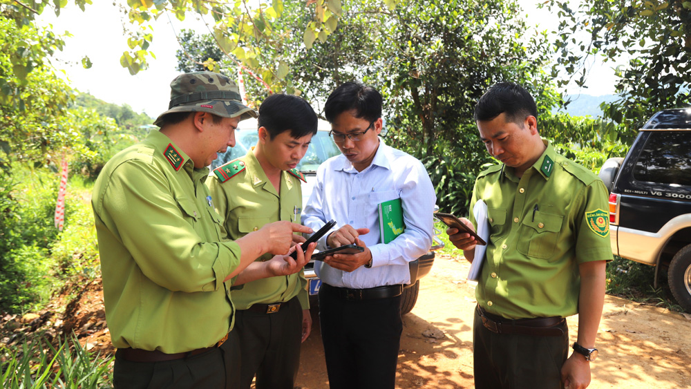 Lực lượng kiểm lâm xác định vị trí diện tích rừng sẽ chuyển đổi để phục vụ xây dựng cao tốc tại khu vực thôn Tôn K’Long (xã Đạ Pal, huyện Đạ Tẻh)