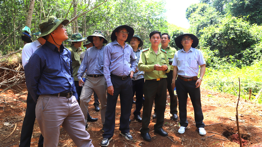 Đồng chí Võ Ngọc Hiệp kiểm tra thực tế tại khu vực rừng giáp ranh giữa huyện Đạ Tẻh và huyện Đạ Huoai