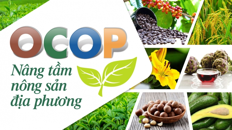 OCOP - Nâng tầm nông sản địa phương