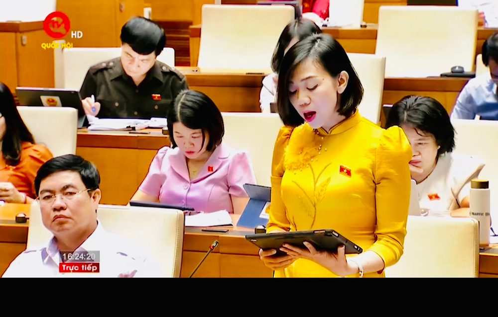 ĐBQH Trịnh Thị Tú Anh góp ý dự án Luật Hợp tác xã (sửa đổi)