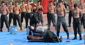 Mãn nhãn với màn trình diễn võ thuật, bắn súng của lực lượng Công an Nhân dân