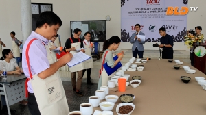 Nông dân trồng cà phê Đà Lạt ''tranh suất'' đưa sản phẩm ra thị trường thế giới