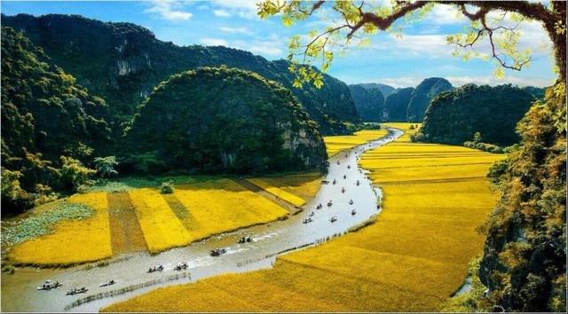 Tuần Du lịch Ninh Bình 2023 - Sắc vàng Tam Cốc - Tràng An