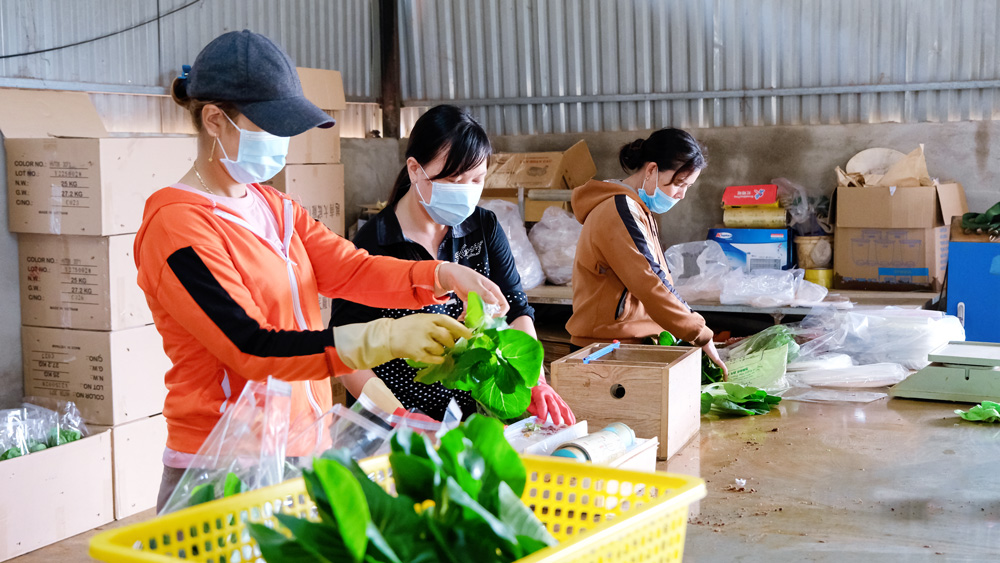 Công tác khuyến công tại huyện Đơn Dương chú trọng đầu tư phát triển các máy móc, thiết bị phục vụ sản xuất nông nghiệp