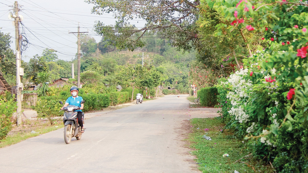 Nhờ công tác dân vận, một số tuyến đường tại thôn Đa Xế, xã Đạ M’rông rực rỡ sắc hoa