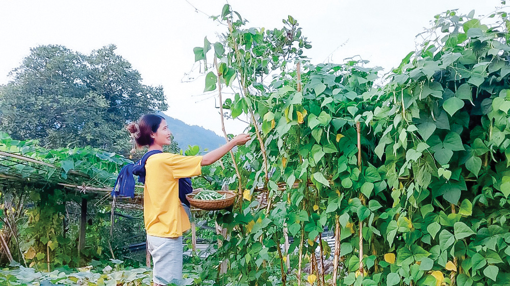 Phụ nữ DTTS huyện Đam Rông với vườn rau quanh nhà