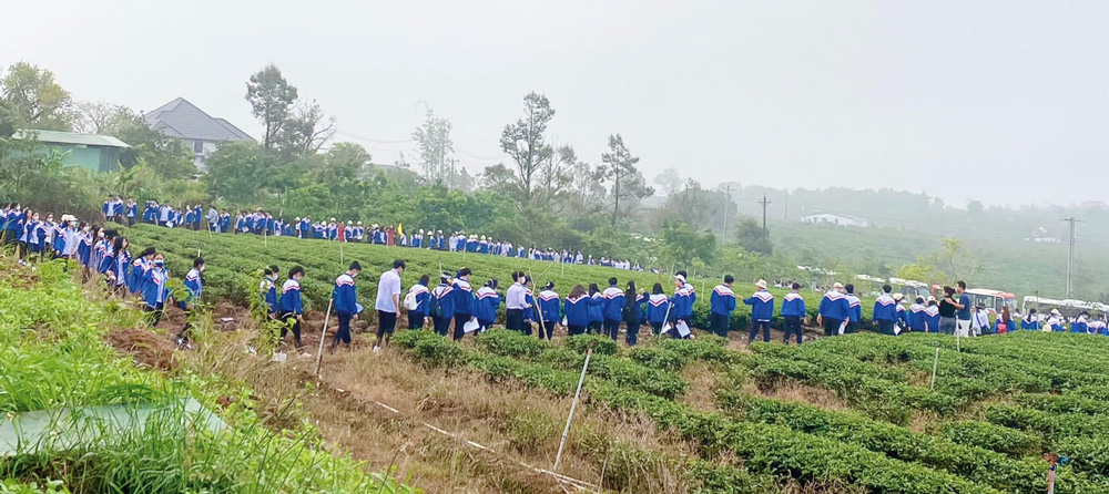 Học sinh tham quan vườn trà