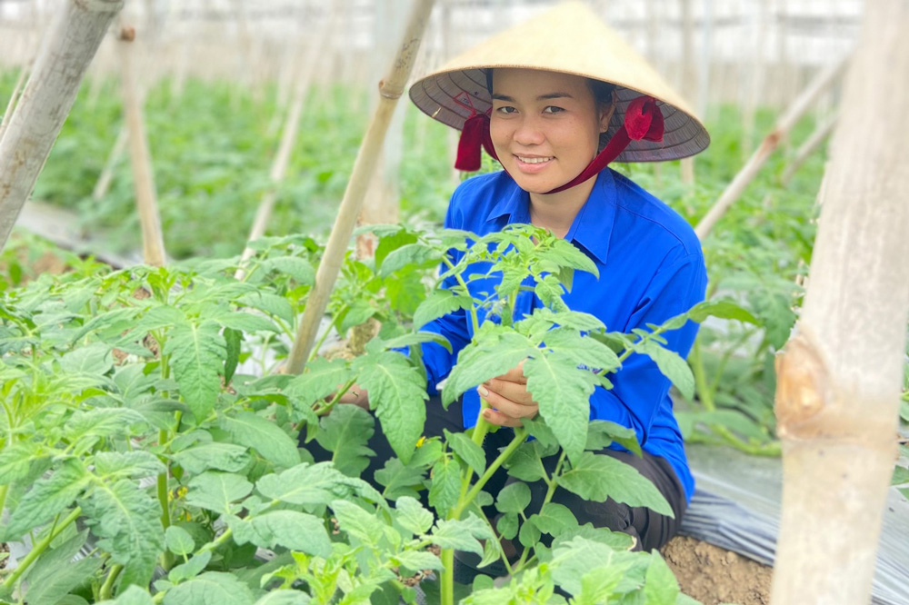Vườn rau công nghệ cao của gia đình chị Touneh Ma Tina mang lại hiệu quả kinh tế cao