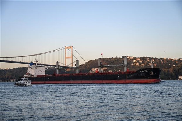 Tàu chở ngũ cốc của Ukraine di chuyển qua Eo biển Bosphorus ở Istanbul, Thổ Nhĩ Kỳ ra khu vực biển Marmara, ngày 2/11/2022