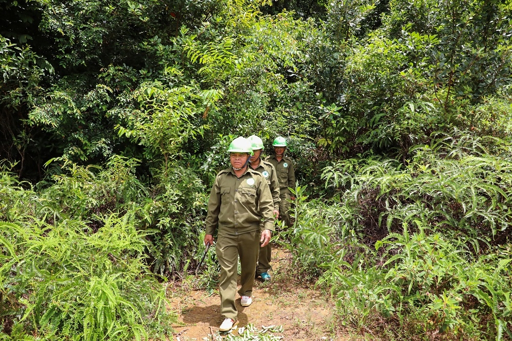 Lực lượng kiểm lâm và chủ rừng, hộ nhận khoán tuần tra quản lý bảo vệ rừng