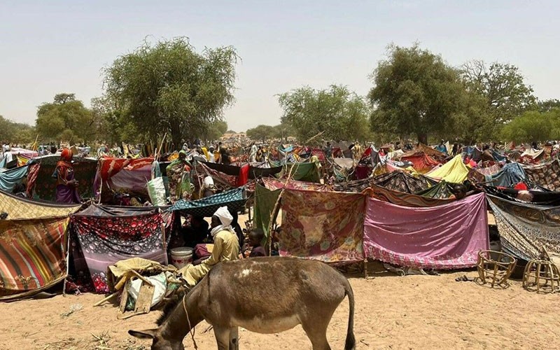 Người tị nạn Sudan sống trong các khu lều tạm ở biên giới Chad