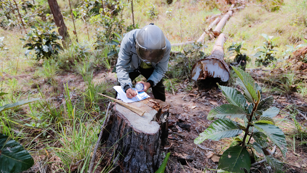 Vướng mắc trong kiểm kê số liệu tại 2 dự án để mất rừng tại Hiệp An