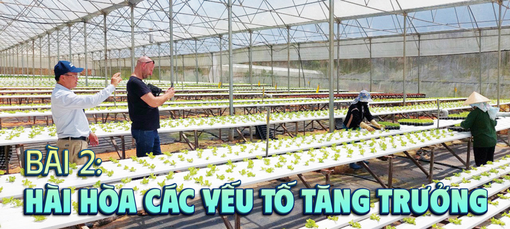 Sản xuất rau thủy canh hồi lưu ở huyện Lạc Dương vừa ổn định chất lượng sản phẩm đầu ra vừa giữ trong lành cho môi trường sinh thái