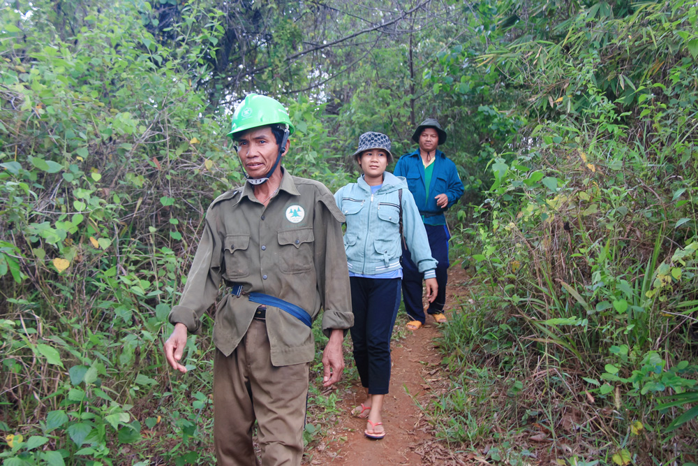 Tại Tiểu khu 544A, các chủ hộ nhận khoán bảo vệ rừng luôn tuần tra, kiểm soát người lạ xuất hiện tại nơi gia đình quản lý