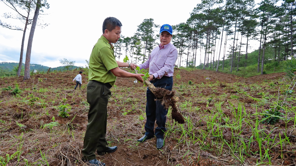 Phó Chủ tịch UBND tỉnh Phạm S cùng đại diện các sở, ngành kiểm tra công tác quản lý, bảo vệ rừng tại huyện Lạc Dương