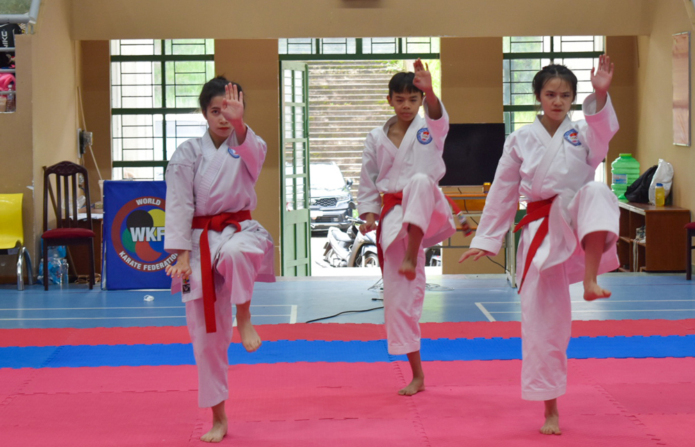 Hơn 400 võ sinh tranh Cúp vô địch Karate mở rộng