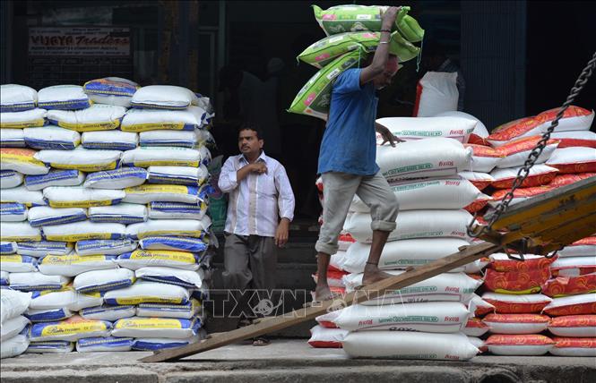 Ấn Độ cấm xuất khẩu nhiều loại gạo do lo ngại thiếu sản lượng