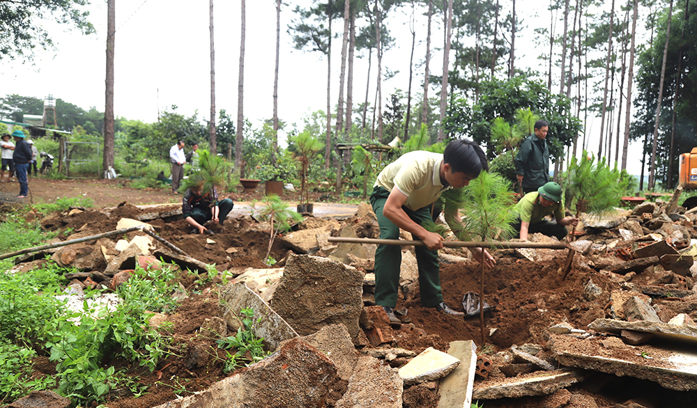 Huyện Bảo Lâm khẩn trương thực hiện trồng rừng trên diện tích vừa được giải tỏa tại rừng cộng đồng xã Lộc Phú