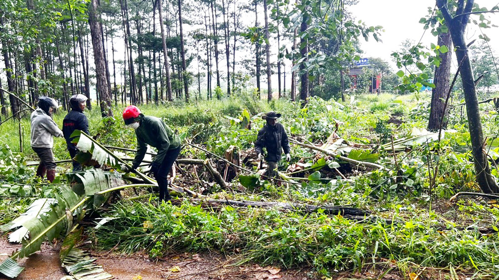 Bảo Lâm: Cưỡng chế tháo dỡ các công trình xây dựng trái phép trong rừng cộng đồng