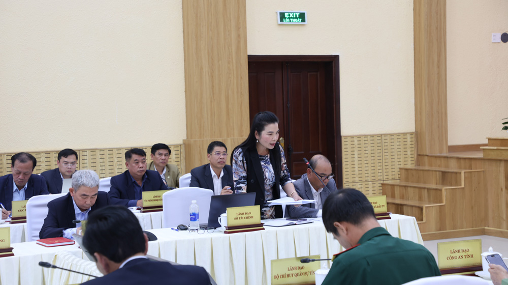 Bà Phạm Thị Tường Vân - Giám đốc Sở Tài chính, cảnh báo về nguy cơ phải trả vốn nếu không giải ngân kịp
