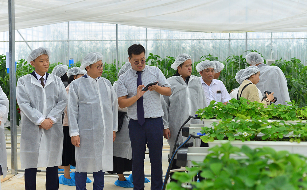Đà Lạt: Khánh thành trang trại thông minh theo công nghệ Hàn Quốc