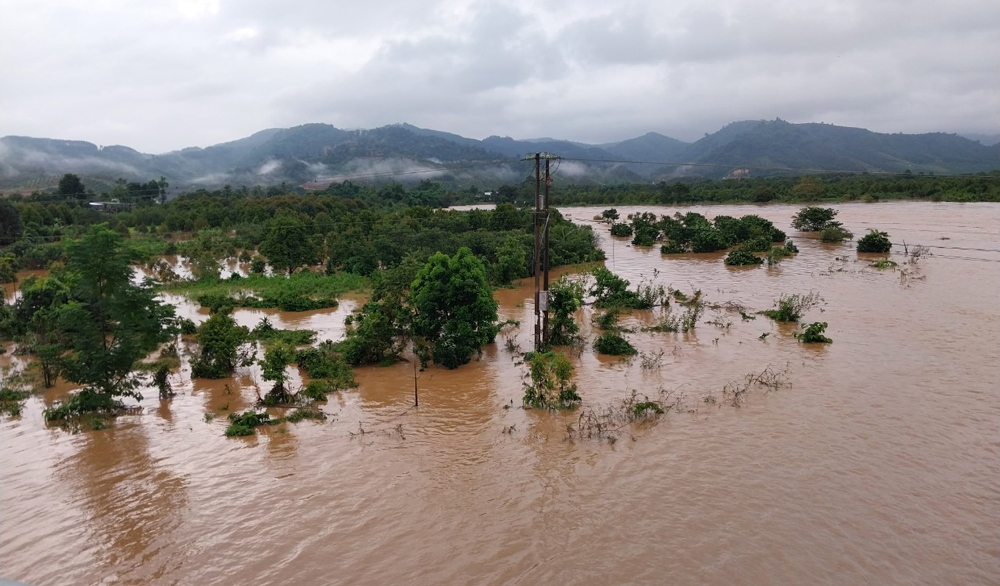Mưa lớn khiến nhiều diện tích cây trồng của người dân xã Đạ Oai (huyện Đạ Oai) bị ngập nặng