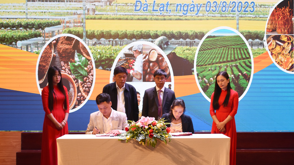 Hội nghị xúc tiến thương mại sản phẩm OCOP và nông nghiệp công nghệ cao Lâm Đồng