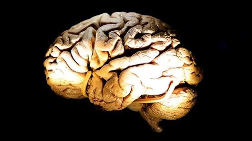 Não bị “lão hóa” là tình trạng các tế bào não “bị bệnh” hoặc “già hóa” hiện diện với số lượng lớn và tiết ra các chất có hại ngăn cản hoạt động bình thường và phục hồi của các tế bào não xung quanh