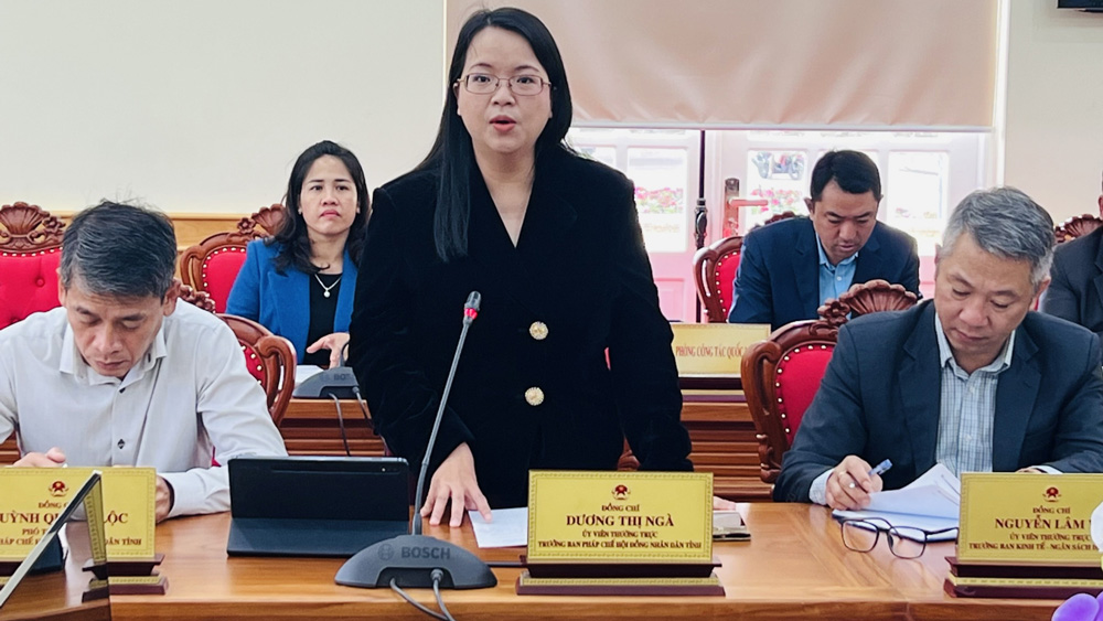  Bà Dương Thị Ngà - Ủy viên Thường trực, Trưởng Ban Pháp chế HĐND tỉnh phát biểu tại hội thảo