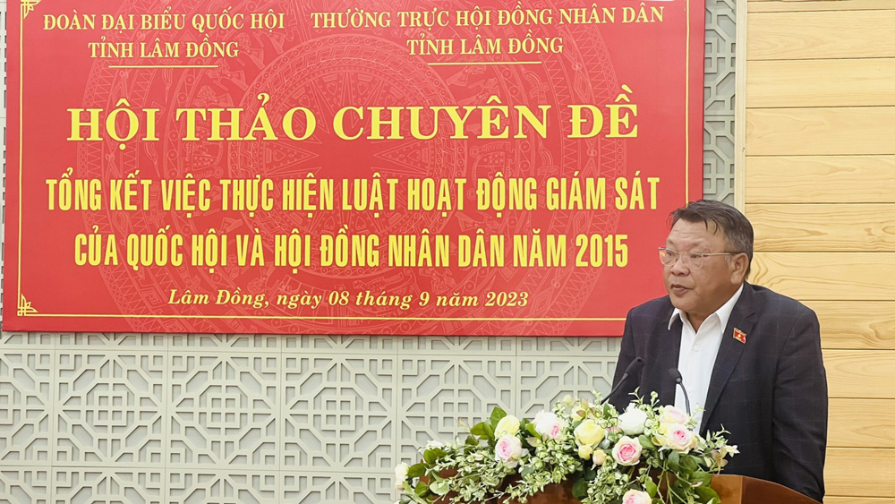 Phó Trưởng Đoàn ĐBQH Nguyễn Tạo phát biểu làm rõ thêm một số nội dung thuộc thẩm quyền tại hội thảo