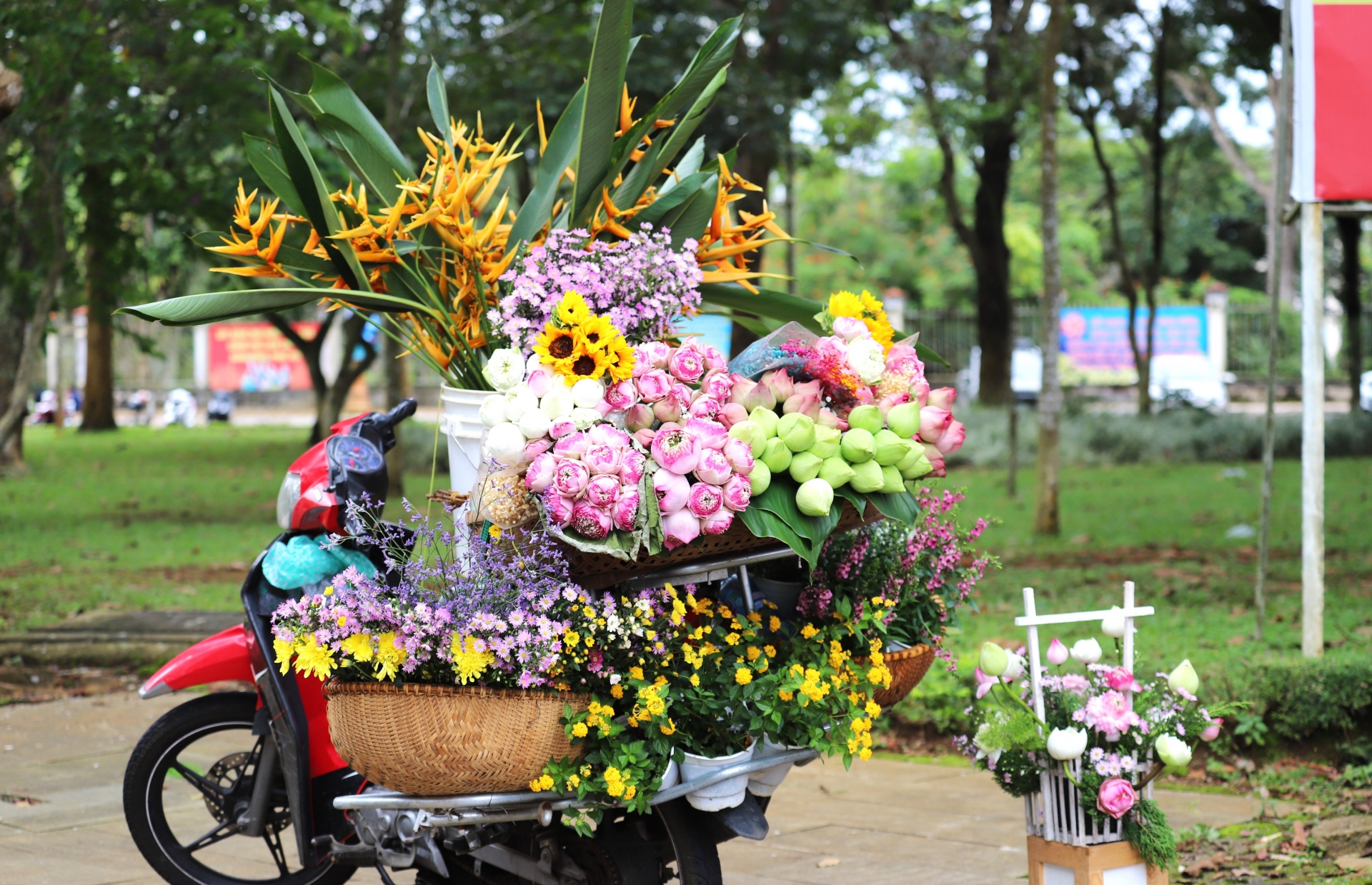 Hình ảnh chiếc xe chở đầy hoa trên đường phố là đặc sản của Hà Nội khi vào thu, giờ đây đang xuất hiện tại Công viên 28 tháng 3 TP Bảo Lộc