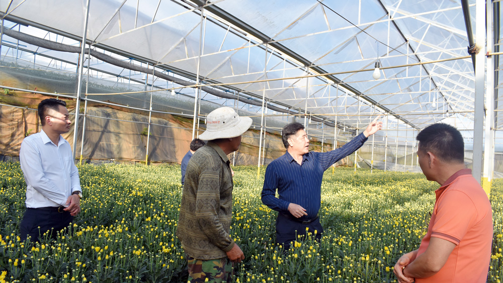 Làng hoa Thái Phiên đã được công nhận vùng nông nghiệp ứng dụng công nghệ cao của TP Đà Lạt