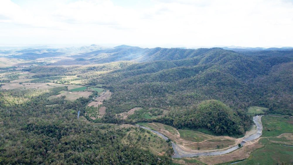 Di Linh có khoảng 84 ngàn ha rừng đó là tiềm năng lớn để địa phương này phát triển mạnh mẽ cây dược liệu