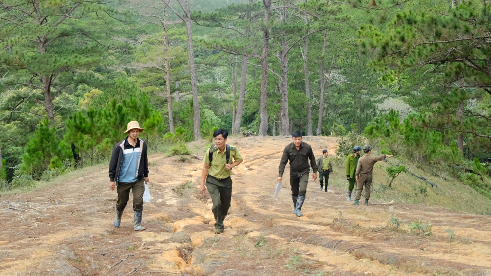 Các thành viên tổ nhận khoán bảo vệ rừng thường xuyên phối hợp với Ban QLRPH Tà Năng đi tuần rừng