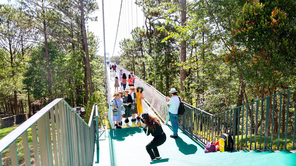 Cầu đáy kính Ngàn Thông dài 325 m, rộng 3 m, nối Thung lũng Tình yêu với Đồi Mộng Mơ, xuyên qua đồi thông xanh mát, trong lành, có thể đón cùng lúc 200 du khách trải nghiệm và thưởng thức phong cảnh