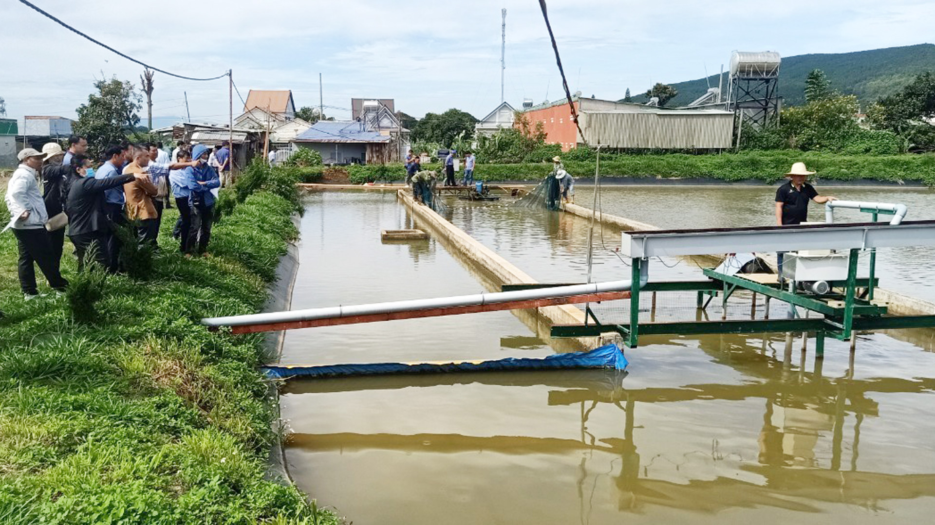 Ứng dụng công nghệ “sông trong ao” phát triển nuôi cá tầm thương phẩm