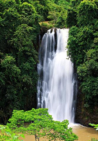Cột nước trắng xóa nổi bật giữa màu xanh của những cây cổ thụ, màu phù sa của con suối dưới chân thác.