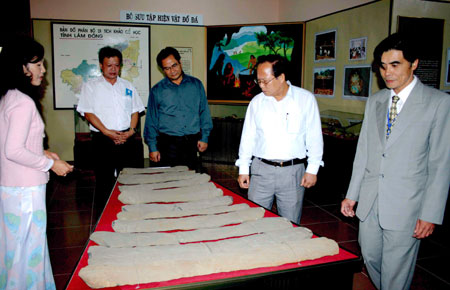 Bộ trưởng Bộ VHTT-DL Hoàng Tuấn Anh thăm bộ đàn đá trưng bày tại Bảo tàng Lâm Đồng