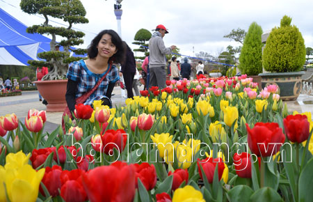 Du khách thích thú ghi lại kỷ niệm của chuyến du lịch đến Đà Lạt bên hoa tulip. Ảnh Văn Báu