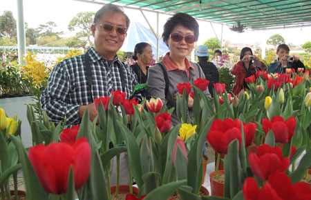 Du khách nước ngoài say đắm trước hoa tại gian hàng triển lãm hoa, cây cảnh.